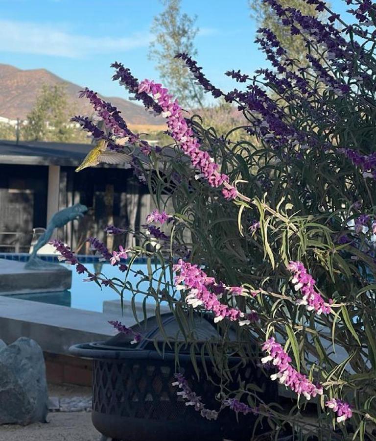 Finca Cazosa فالي دي جوادالوبي المظهر الخارجي الصورة