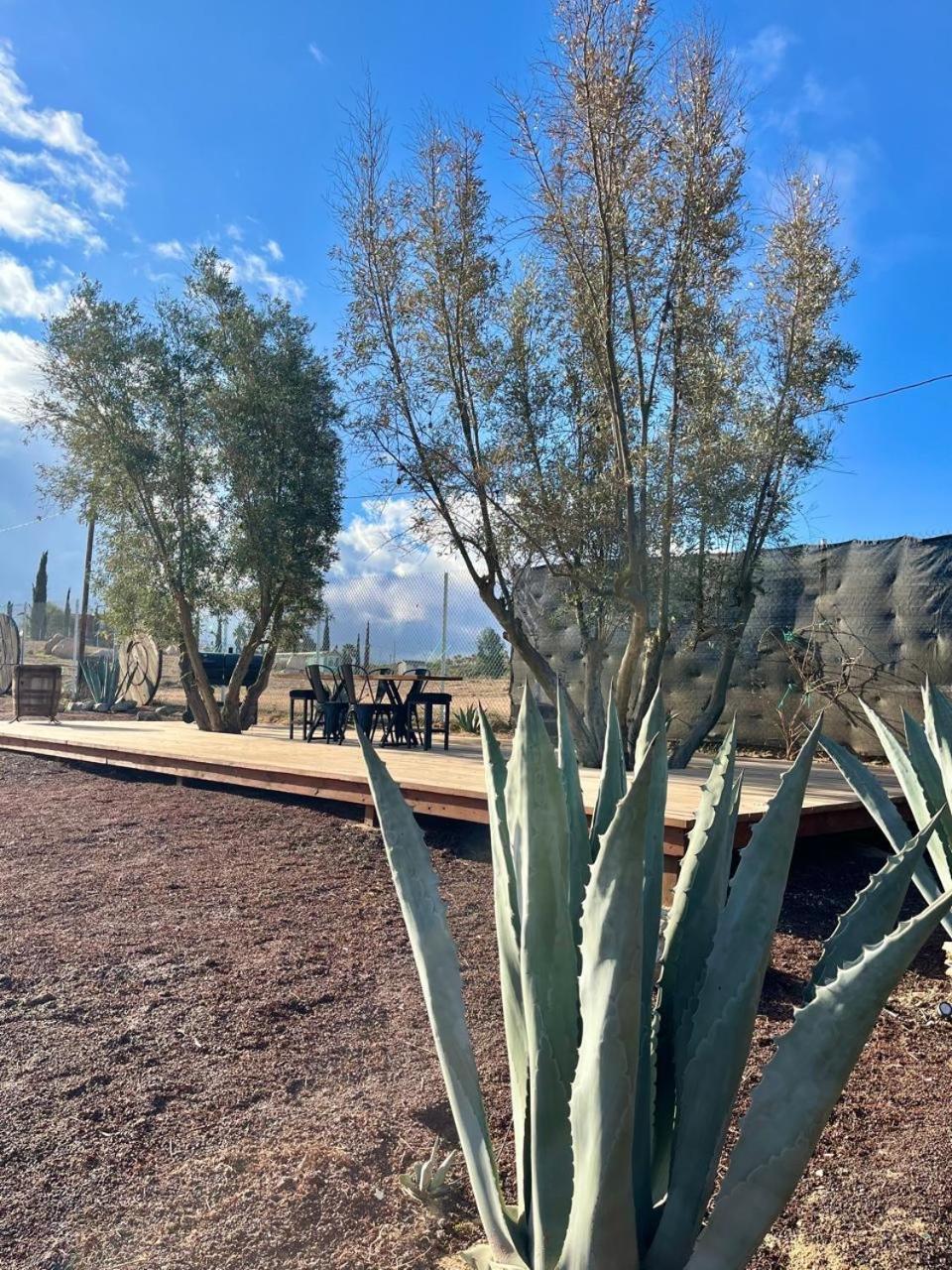 Finca Cazosa فالي دي جوادالوبي المظهر الخارجي الصورة